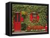 Ivy Covered Cottage, Town of Borris, County Carlow, Leinster, Republic of Ireland, Europe-Richard Cummins-Framed Stretched Canvas