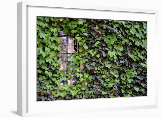 Ivy Covered House-Mr Doomits-Framed Photographic Print