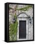 Ivy Covered Wall, San Miguel, Guanajuato State, Mexico-Julie Eggers-Framed Stretched Canvas