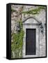 Ivy Covered Wall, San Miguel, Guanajuato State, Mexico-Julie Eggers-Framed Stretched Canvas