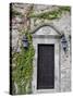 Ivy Covered Wall, San Miguel, Guanajuato State, Mexico-Julie Eggers-Stretched Canvas