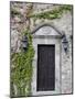 Ivy Covered Wall, San Miguel, Guanajuato State, Mexico-Julie Eggers-Mounted Photographic Print