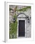 Ivy Covered Wall, San Miguel, Guanajuato State, Mexico-Julie Eggers-Framed Photographic Print
