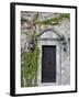 Ivy Covered Wall, San Miguel, Guanajuato State, Mexico-Julie Eggers-Framed Photographic Print