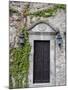 Ivy Covered Wall, San Miguel, Guanajuato State, Mexico-Julie Eggers-Mounted Photographic Print