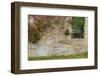 Ivy Grows on an Old Barn Foundation, Plymouth, Massachusetts-Jerry & Marcy Monkman-Framed Photographic Print