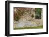 Ivy Grows on an Old Barn Foundation, Plymouth, Massachusetts-Jerry & Marcy Monkman-Framed Photographic Print