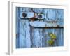 Ivy (Hedera Sp) Growing on Old Barn Door, Scotland, United Kingdom, Europe-Ann & Steve Toon-Framed Photographic Print