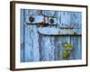 Ivy (Hedera Sp) Growing on Old Barn Door, Scotland, United Kingdom, Europe-Ann & Steve Toon-Framed Photographic Print