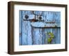 Ivy (Hedera Sp) Growing on Old Barn Door, Scotland, United Kingdom, Europe-Ann & Steve Toon-Framed Photographic Print