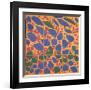 Ivy in Flower-Henri Matisse-Framed Art Print