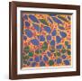 Ivy in Flower-Henri Matisse-Framed Art Print