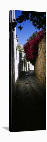 Ivy on a Stonewall in an Alley, Lindos, Rhodes, Greece-null-Stretched Canvas