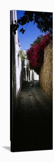 Ivy on a Stonewall in an Alley, Lindos, Rhodes, Greece-null-Stretched Canvas