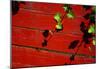 Ivy on Red Barn-null-Mounted Poster