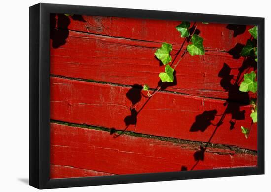 Ivy on Red Barn-null-Framed Poster