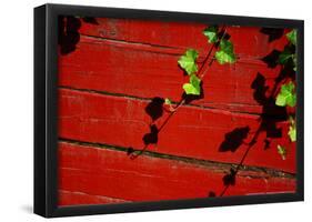 Ivy on Red Barn-null-Framed Poster