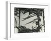 Ivy On Wall, New York, 1945-Brett Weston-Framed Photographic Print