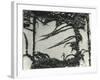 Ivy On Wall, New York, 1945-Brett Weston-Framed Photographic Print