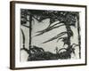 Ivy On Wall, New York, 1945-Brett Weston-Framed Photographic Print