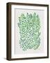 Ivy Summer-Cat Coquillette-Framed Giclee Print