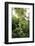 Ivy tendril-Nadja Jacke-Framed Photographic Print