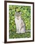 Ivy-Ditz-Framed Giclee Print