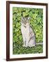 Ivy-Ditz-Framed Giclee Print