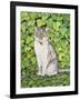 Ivy-Ditz-Framed Giclee Print