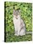 Ivy-Ditz-Stretched Canvas