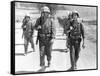 Iwo Jima Sands of Iwo Jima by AllanDwan with ohn Wayne and John Agar, 1949 (b/w photo)-null-Framed Stretched Canvas