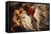 Ixion,Roi des Lapithes,trompe par Junon. Ixion,King of the Lapiths,deceived by Juno-Peter Paul Rubens-Framed Stretched Canvas