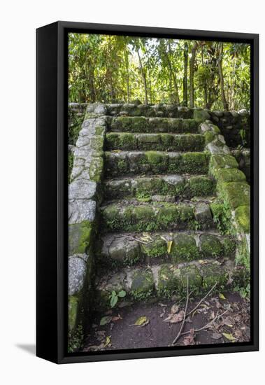 Izapa Ruins, Tapachula, Chiapas, Mexico-Peter Hawkins-Framed Stretched Canvas