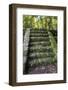 Izapa Ruins, Tapachula, Chiapas, Mexico-Peter Hawkins-Framed Photographic Print