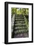 Izapa Ruins, Tapachula, Chiapas, Mexico-Peter Hawkins-Framed Photographic Print