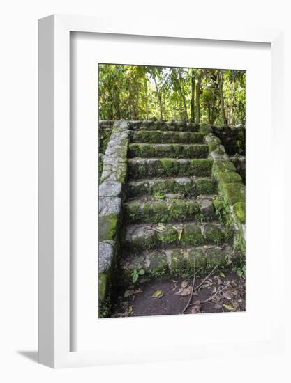 Izapa Ruins, Tapachula, Chiapas, Mexico-Peter Hawkins-Framed Photographic Print