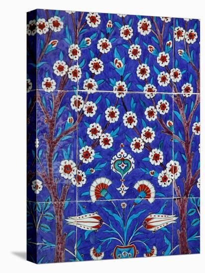 Iznik Tiles in Topkapi Palace, Istanbul, Turkey, Europe-Godong-Stretched Canvas