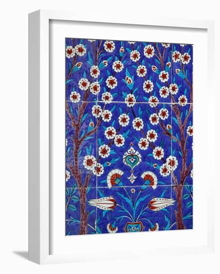 Iznik Tiles in Topkapi Palace, Istanbul, Turkey, Europe-Godong-Framed Photographic Print