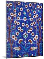 Iznik Tiles in Topkapi Palace, Istanbul, Turkey, Europe-Godong-Mounted Photographic Print