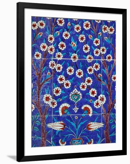 Iznik Tiles in Topkapi Palace, Istanbul, Turkey, Europe-Godong-Framed Photographic Print