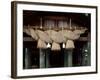 Izumo Taisha Shrine-null-Framed Photographic Print