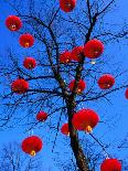 Chinese Lanterns Hanging from Trees in Tivoli Gardens, Copenhagen, Denmark-Izzet Keribar-Framed Photographic Print