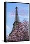 J'aime les Fleur de Paris-Cora Niele-Framed Stretched Canvas