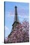 J'aime les Fleur de Paris-Cora Niele-Stretched Canvas