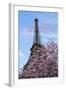 J'aime les Fleur de Paris-Cora Niele-Framed Giclee Print