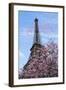 J'aime les Fleur de Paris-Cora Niele-Framed Giclee Print