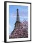 J'aime les Fleur de Paris-Cora Niele-Framed Giclee Print