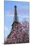 J'aime les Fleur de Paris-Cora Niele-Mounted Giclee Print