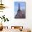 J'aime les Fleur de Paris-Cora Niele-Giclee Print displayed on a wall