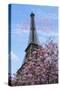 J'aime les Fleur de Paris-Cora Niele-Stretched Canvas